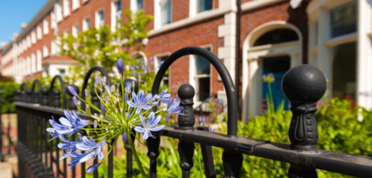 Close Up photograph of lilac plant growing outside one of the redbrick houses on University Square