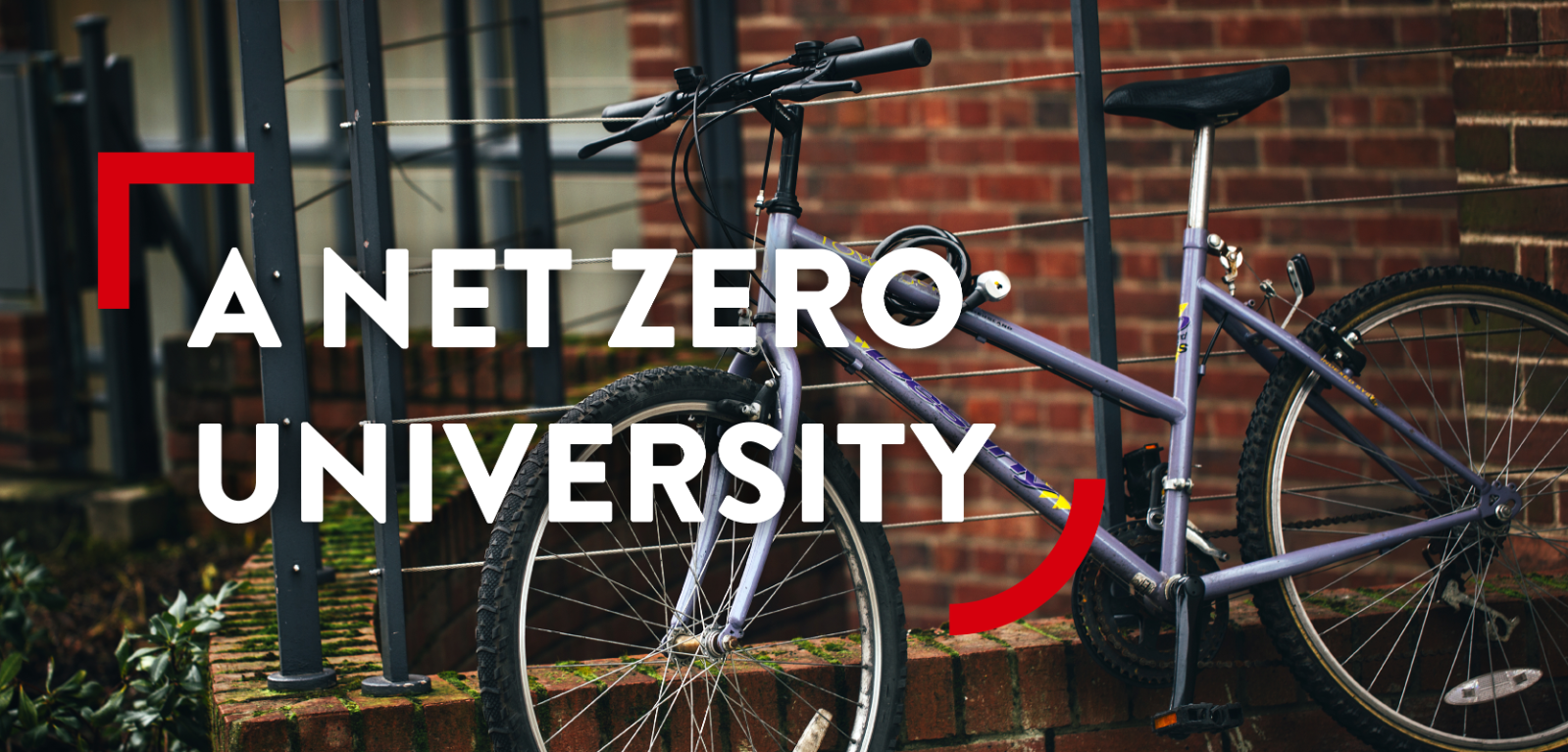 A purple bicycle parked in front of the red brick of the Lanyon building.