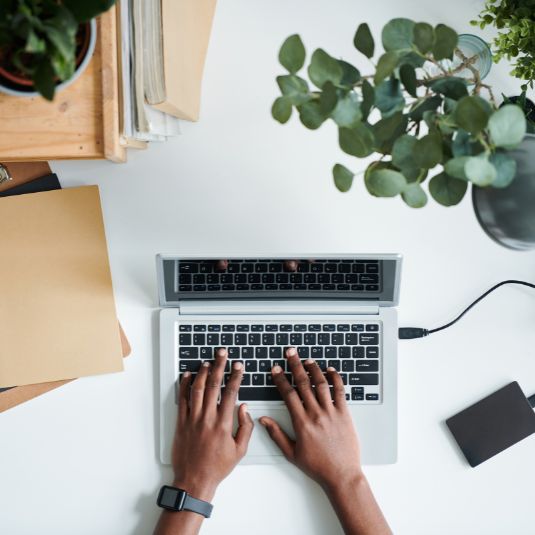 Hands typing on a laptop on a desk with a plant