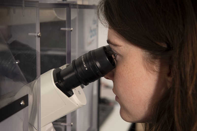 Girl looking trough microscope