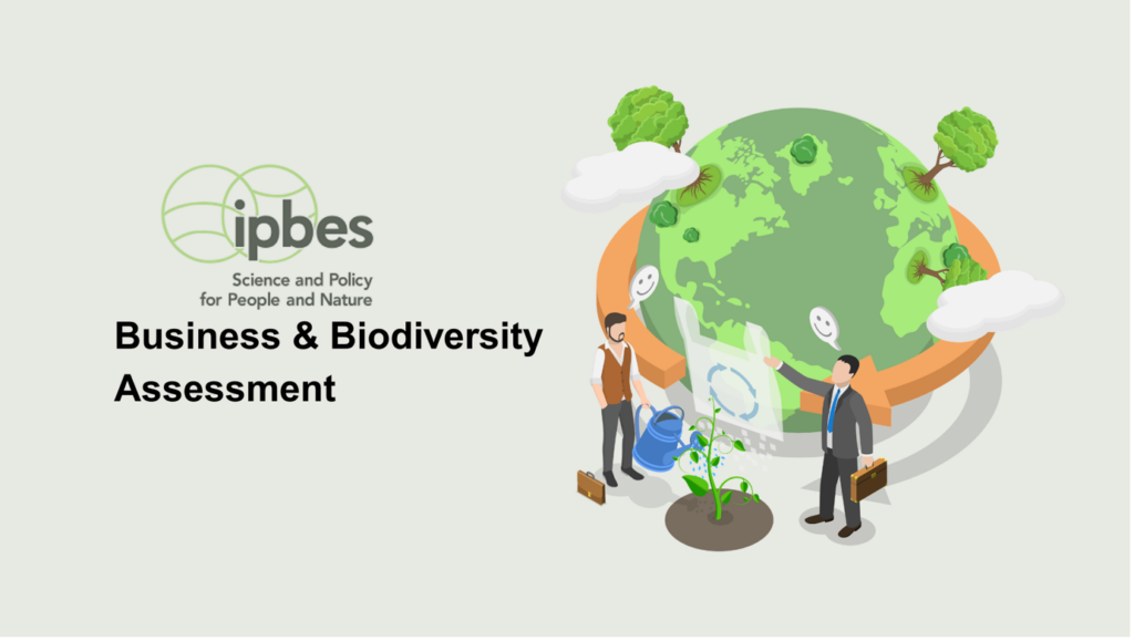 Cover of the IPBES Business & Biodiversity Assessment report