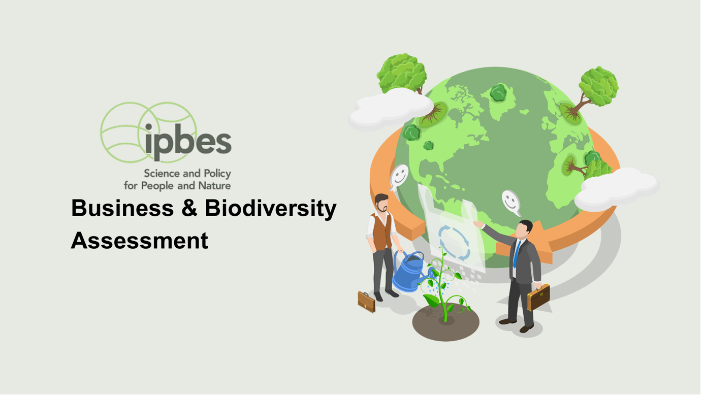 What Businesses Need to Know About the New Global Biodiversity Report