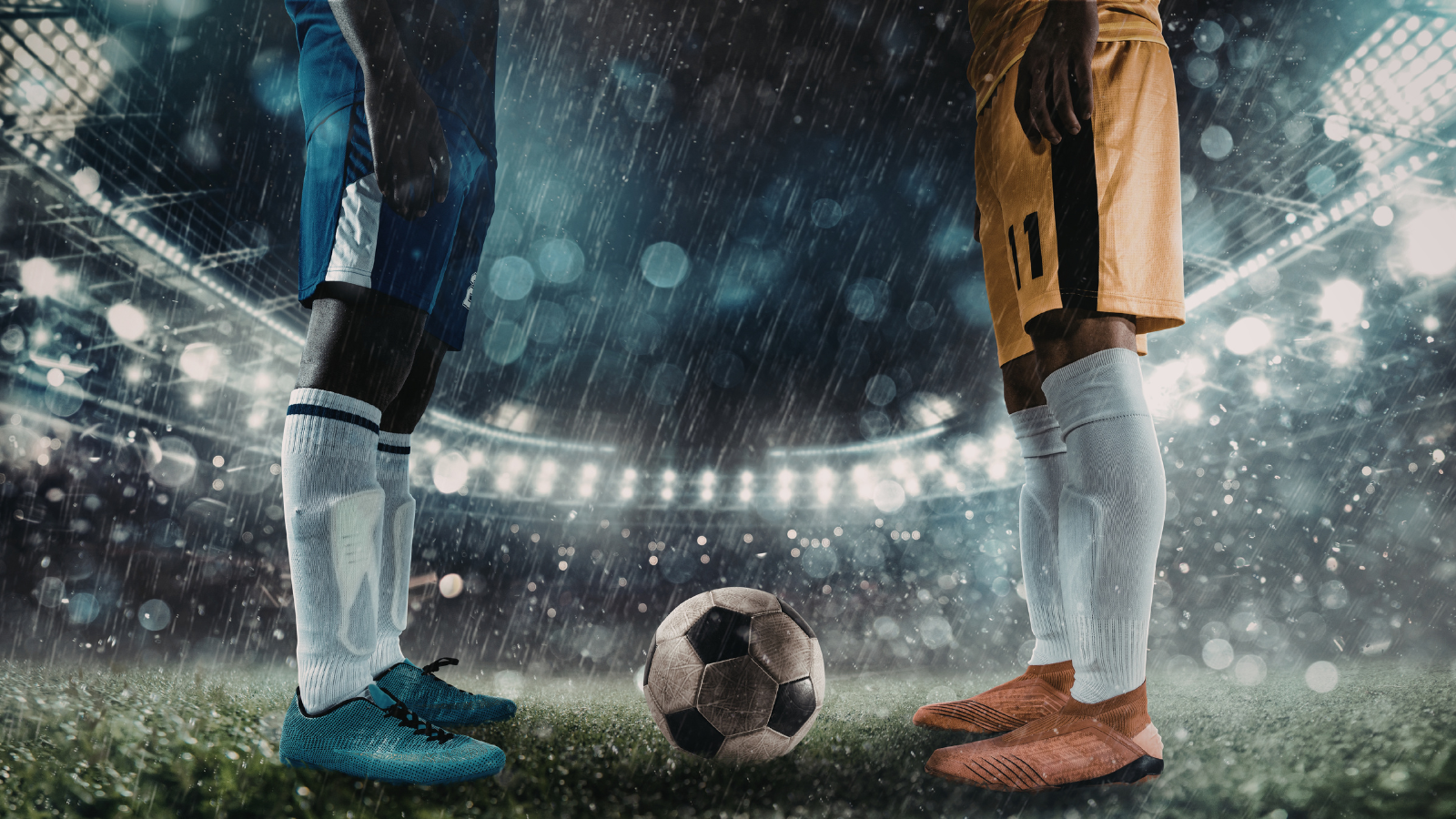 What football can teach us about predicting the climate.